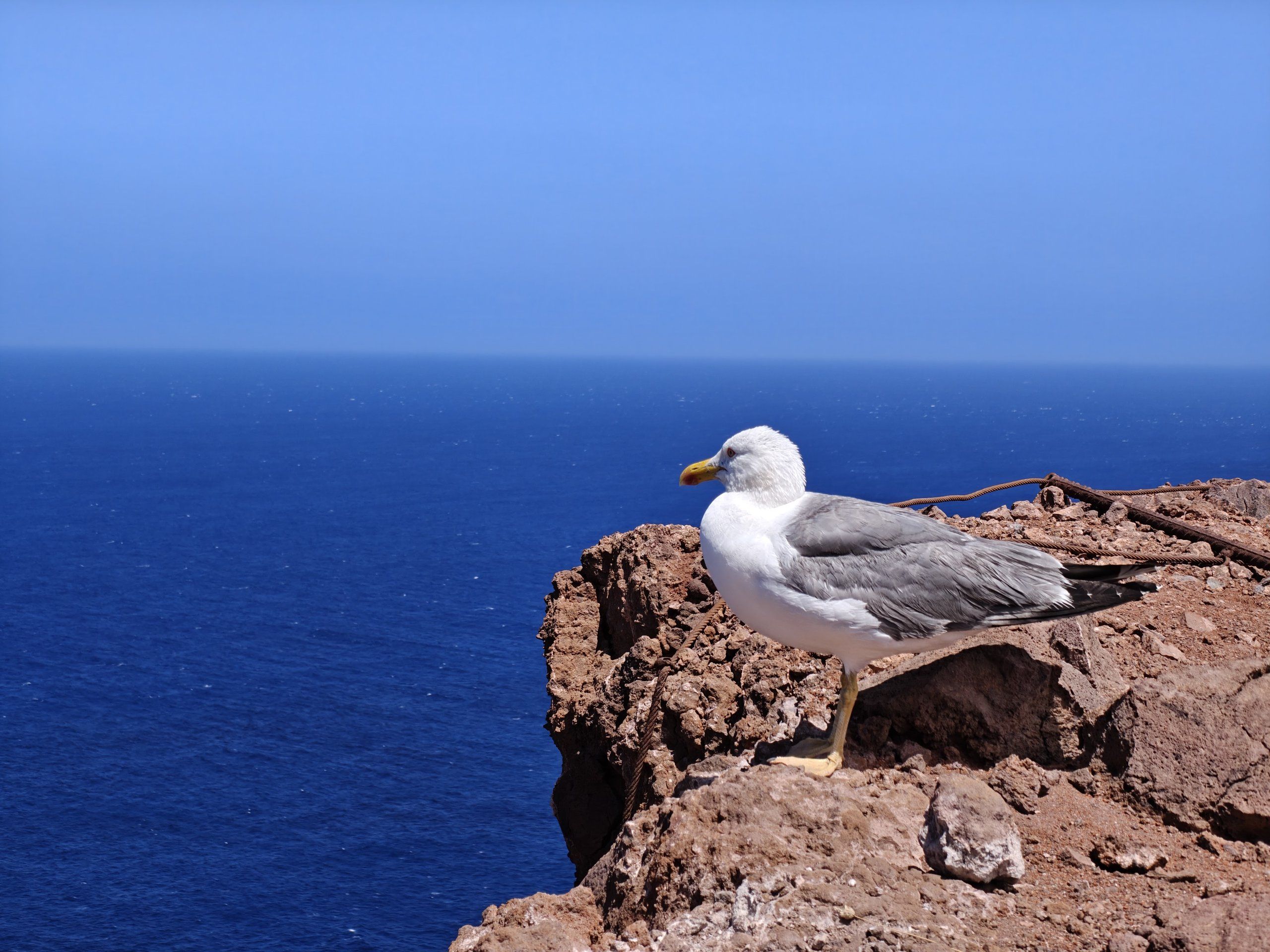 Foto del viaggio