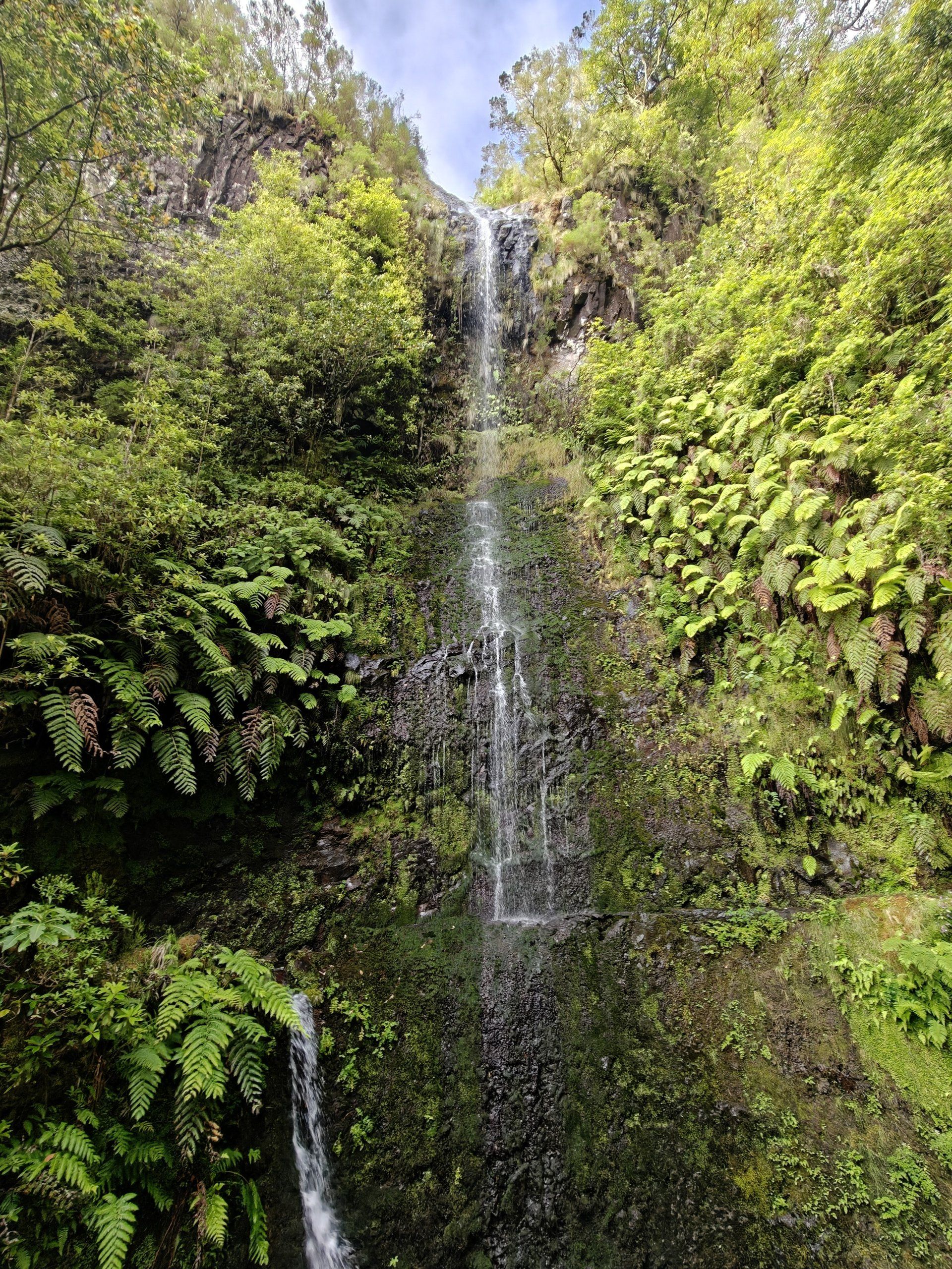 Foto del viaggio