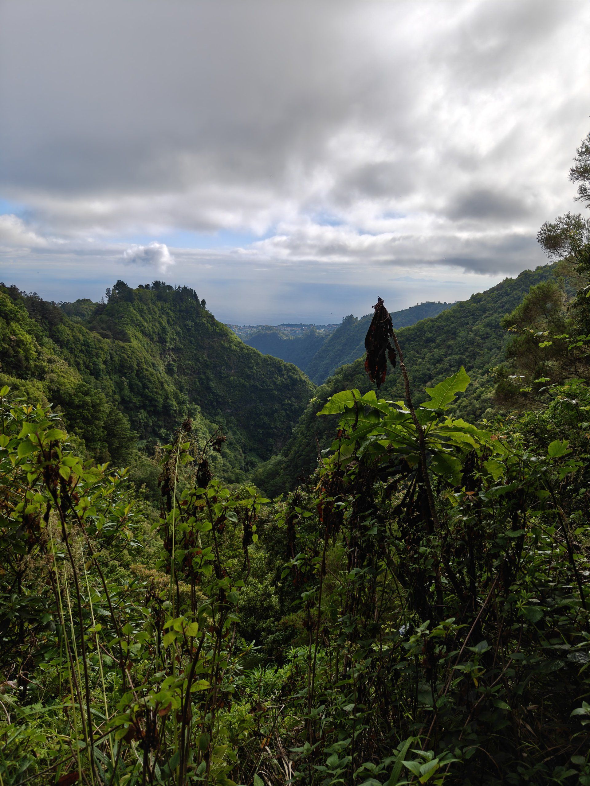 Foto del viaggio