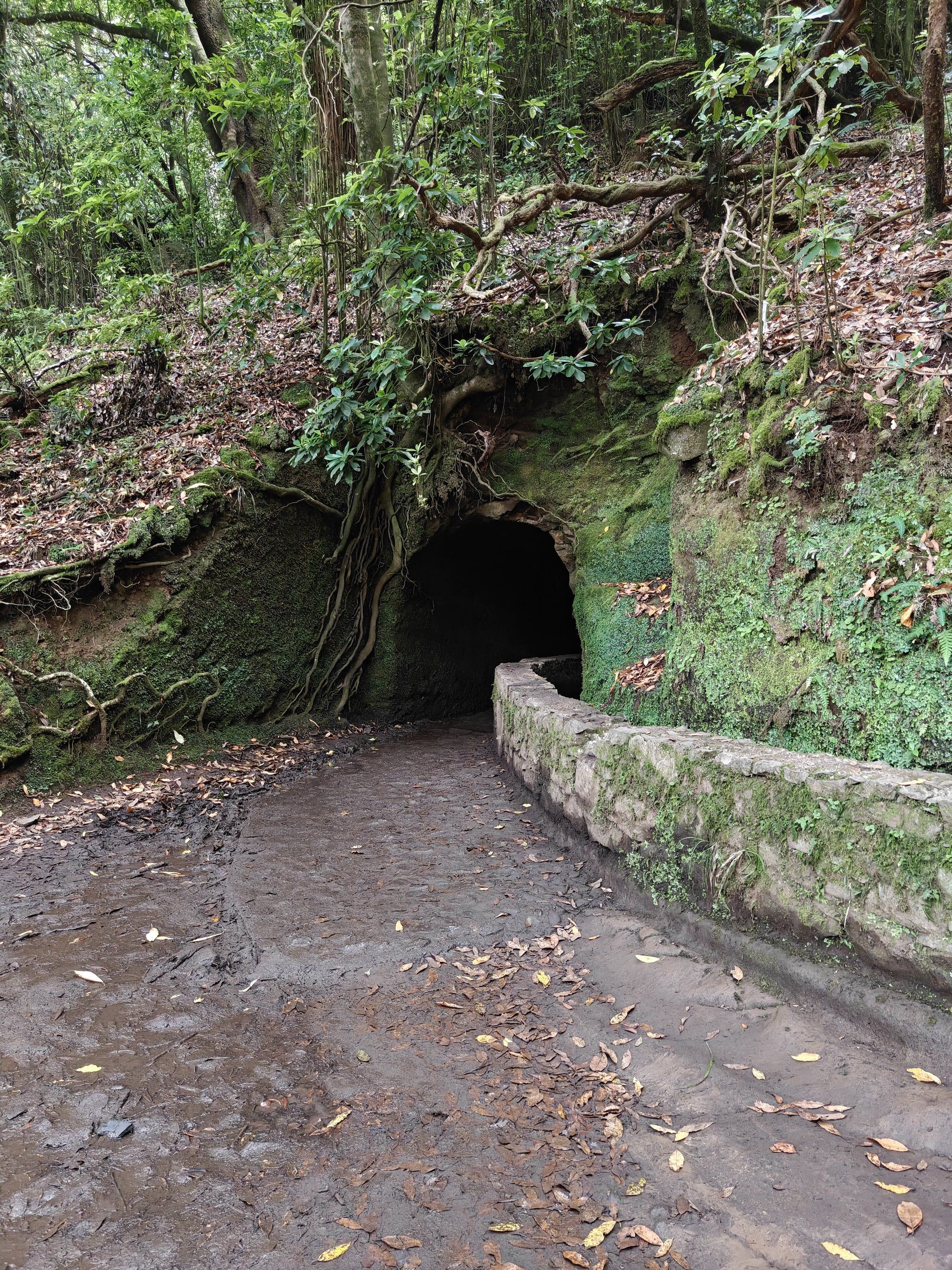 Foto del viaggio