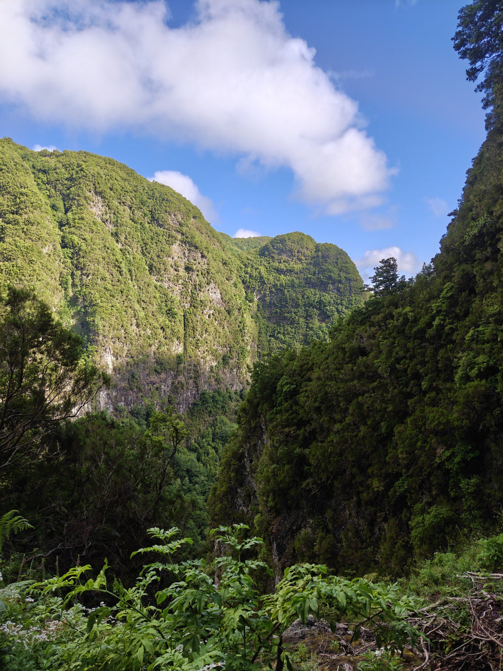 Foto del viaggio