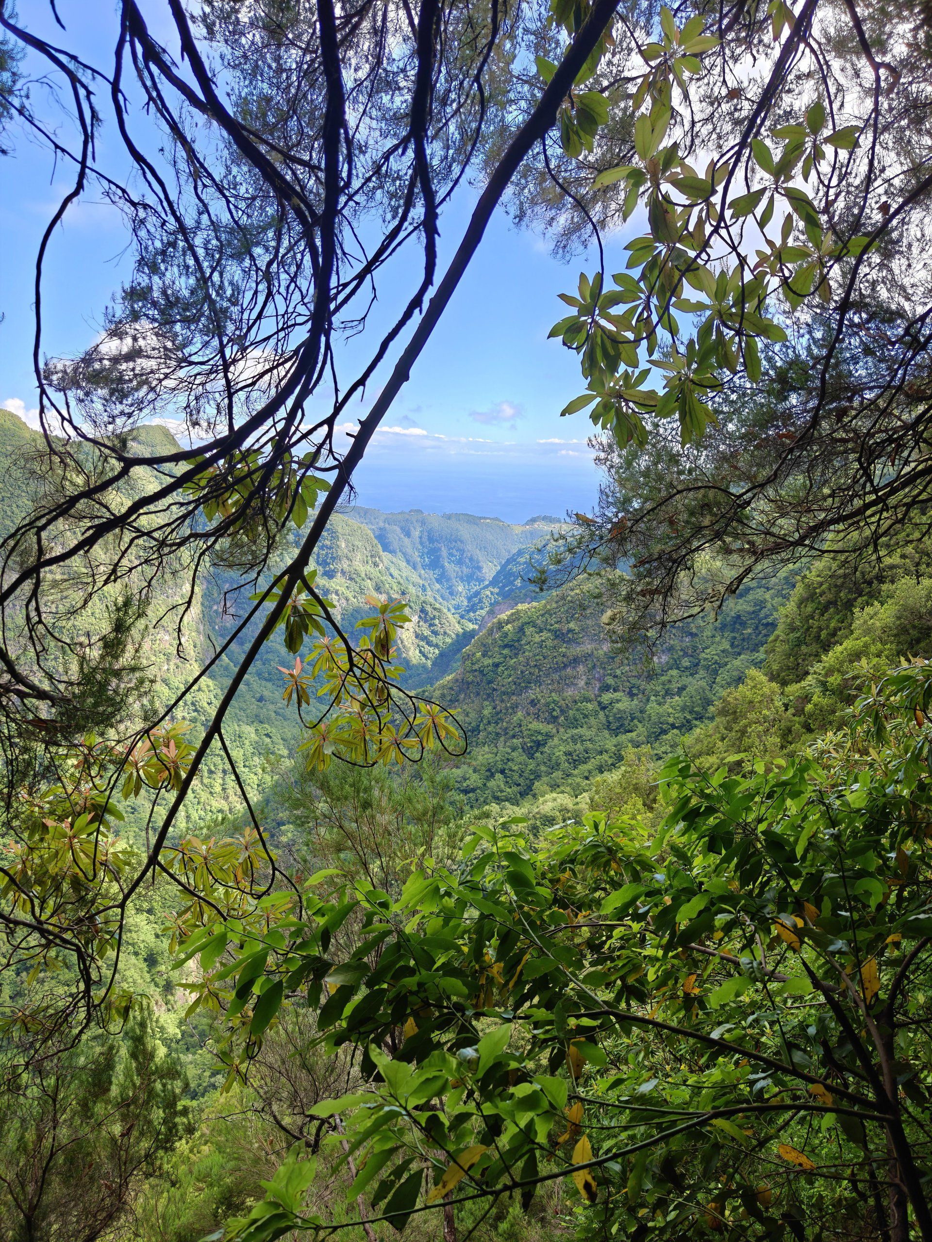 Foto del viaggio